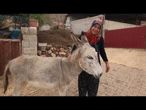 100 Yıllık Taş Köy Evi Yapmak Nenemin Sıcak Sobalı Eski Köy