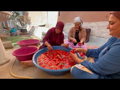 Ablamın Evinde Kış Hazırlığı Geleneksel Köy Yaşamı Belgesel