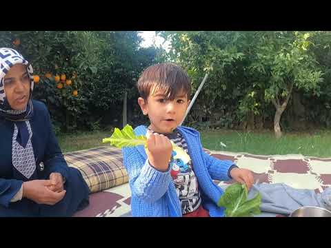 TAKİPÇİLERİMİZ GELDİ LEZZET DOLU KISIR YEMEĞİ KÖY EVİMİZDE