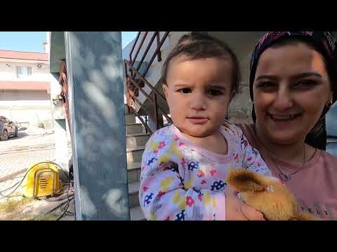ŞULE VE ANNESİ KÖY EVİ BÜYÜK KAZANDA LEZZETLİ TUZLU YOĞURT