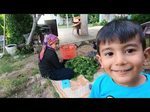 1 YIL SONRA BİDON BİDON LEZZETLİ KIŞ İÇİN YAPRAK PRATİK