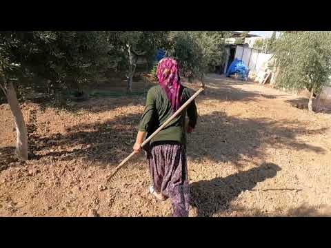 ANNEM KÖY EVİ LEZZETLİ YEMEKLER İÇİN TURŞU YAPIMI KIŞA