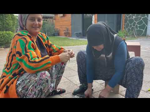 HAMSİ TAVA NASIL YAPILIR EN LEZZETLİ BALIK YEMEĞİ TARİFİ
