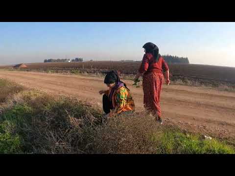 KÖYLÜLER BU YEMEĞE BAYILIYOR ODUN ATEŞİNDE TOPRAK YEMEĞİ