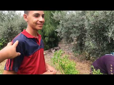 SİNAN ABİ NİN KÖY EVİ KIŞ AYI LEZZETLİ YEMEKLER İÇİN BİBER