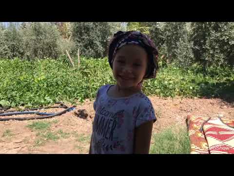 Öğlen yemeği günlük vlog yerde lahana sarması dolma