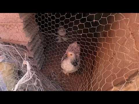 HİÇ BÖYLE LEZZETLİ SABAH KAHVALTISI YEDİNİZMİ Yeni Köy