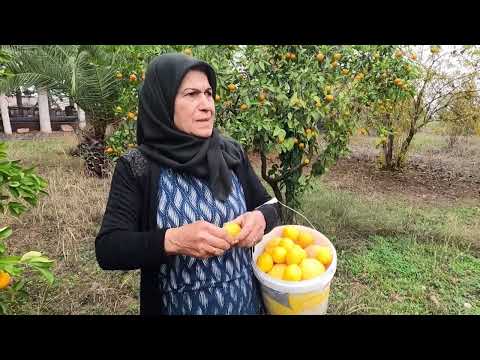 SONUNDA BAŞARDIK KARADENİZ KUYMAK MIHLAMA NASIL YAPILIR