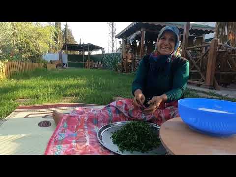 TEPSİ TEPSİ Ispanaklı Gözleme Yemeği ABLAM Geldi Köy yemeği