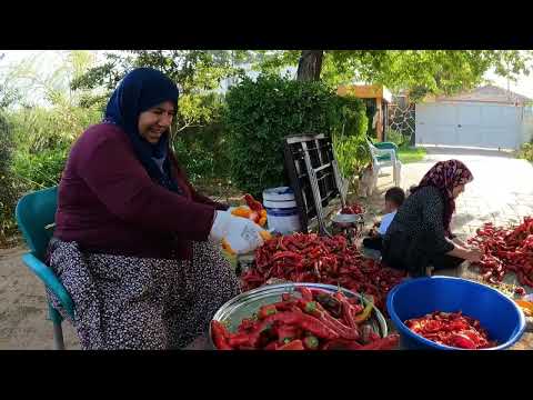 TEYZEM GELDİ ANNEM YENİ KOLTUK TAKIMI TEMİZLİĞİ LEZZETLİ