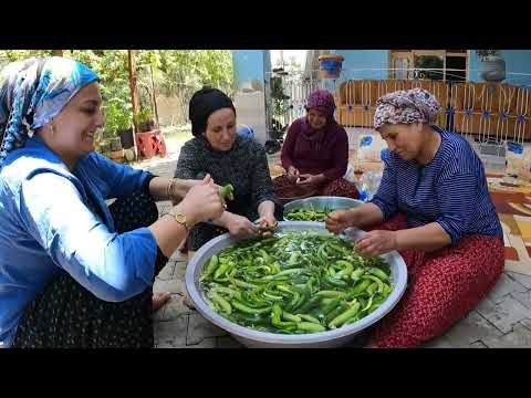 HALAMIN KÖY EVİ İLK SALATALIK ACUR HASADI LEZZETLİ KÖY