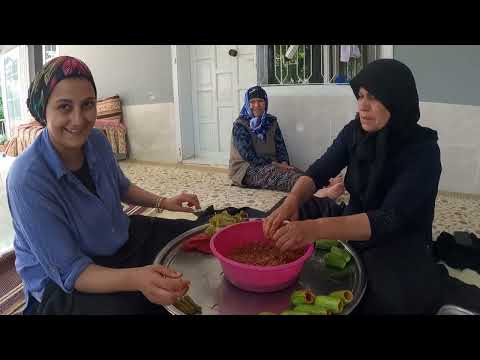 KÖY HAYATI ŞARK KÖŞEMİZDE YAPRAK HASADI ETLİ KALEM SARMASI