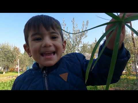 ANNEM İN EVİ LEZZET DOLU KATMER YAPIMI TADINA DOYUM OLMAYAN