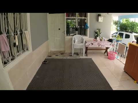 TAZE ISPANAK TEPSİ TEPSİ GÖZLEME YAPIMI ŞARK KÖŞESİ KÖY