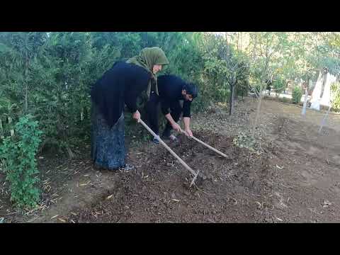 KÖYDE KIŞ YEMEKLERİ İÇİN BAHÇE EKİMİ ODUN ATEŞİNDE FIRINDA