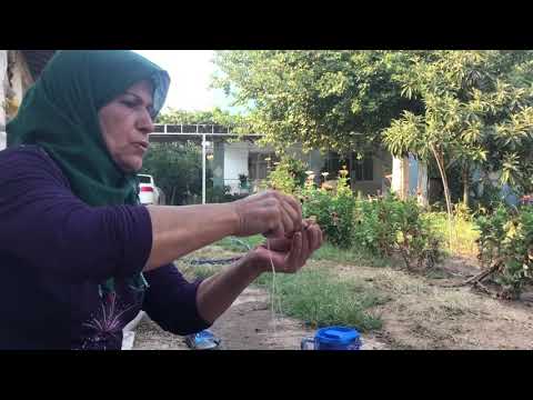 LEZZET DOLU DOĞAL ÇEVİZLİ SUÇUK YAPIMI Çayın Yanında Kolay