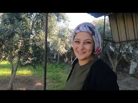 100 BİN ABONE BAŞARI PLAKETİMİZ GELDİ KÖY EVİ MUTLU GÜNÜMÜZ