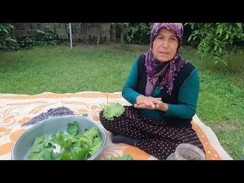 BİDON BİDON LEZZET SALAMURA YAPIMI ANNEM YENİ KÖY EVİ