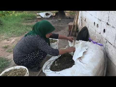 EN GÜZEL PRATİK AKŞAM YEMEĞİ Lezzet Bombası Pratik Köy