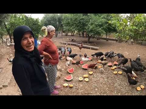 BİDON BİDON YAPILAN İNANILMAZ LEZZET HÜSEYİN AMCA İLE FİLİZ