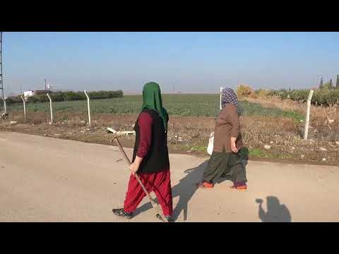 HAVUÇ HASADI BİDON BİDON ŞALGAM YAPIMI LEZZET KÖYÜ GÜNLÜK