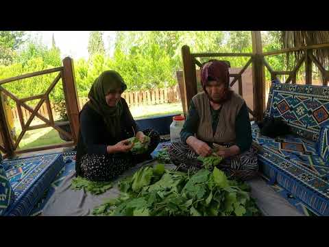 BİDON BİDON SALAMURA YENİ YAPRAK HASADI KALEM SARMASI KÖY