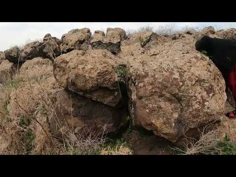 KAYA ARALARINDA TOPLANAN ZEHİRLİ VE ŞİFALI KÖY YEMEĞİ YENİ