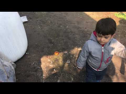 Yemek Tandır da Biberli ekmek tandır ekmeği günlük vlog