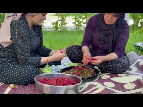 Köy Hayatı Çilek Hasadı Ve Çilek Reçeli Yapımı Belgesel