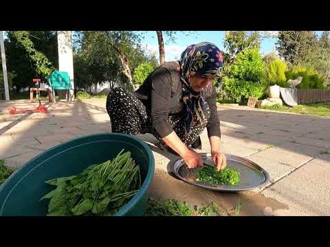 TEPSİ TEPSİ ISPANAKLI GÖZLEME YAPIMI SOBALI KÖY EVİ İFTAR