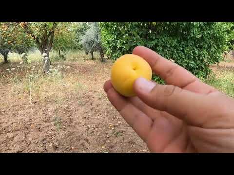 YENİ YAPILAN SÜPER KÖY EVİ YENİ PERDELERE AŞIK OLACAKSINIZ
