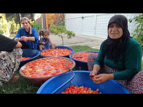 KÖYDE LEZZETLİ YEMEKLER İÇİN 1 YIL SONRA DOMATES SALÇA
