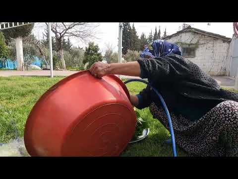 MUTLU HABER GELDİ ARANAN EN LEZZETLİ ISPANAKLI YUMURTA