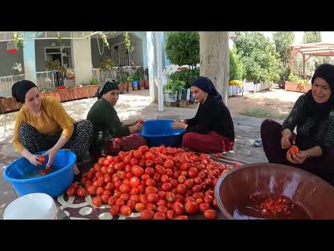 HALAM İLE YENGEM EVİNE YENİ DOMATES HASADI KIŞLIK YAPIMI