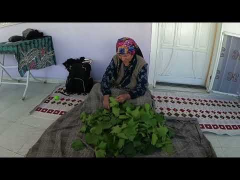 ABLAMIN EVİNDE İLK YAPRAK HASADI BİDON BİDON LEZZET