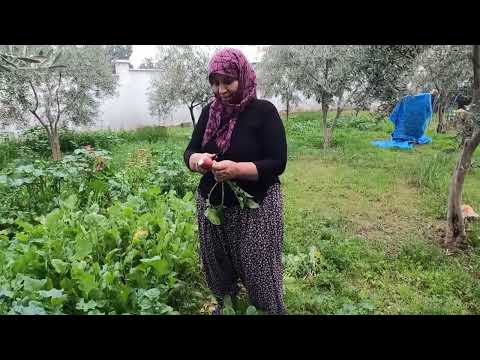 SICAK SOBA YANINDA KAT KAT ISPANAKLI GÖZLEME YAPIMI ANNEM