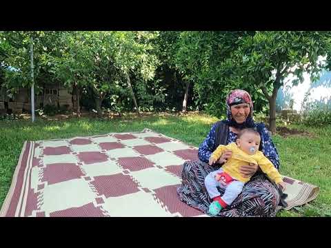 TEPSİ TEPSİ KUZU ETİ LAHANA SARMASI İNANILMAZ LEZZET