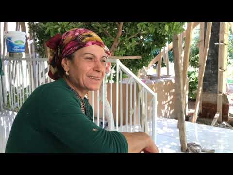 Öğlen yemeği günlük vlog