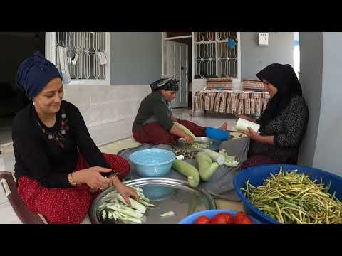 ABİM İLE YENGEM EVİNE İLK BÖRÜLCE KABAK HASADI LEZZETLİ KÖY