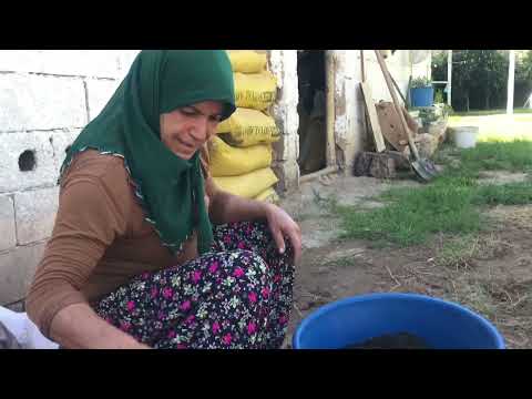 ANNEM İLE KÖY BAHÇEMİZE YENİ ÇİÇEKLER ALDIK SENEM SULTAN