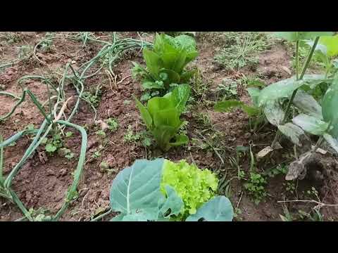 BUZ GİBİ HAVADA SICAK CİĞER KAHVALTI YEMEĞİ Annem Köy Evi