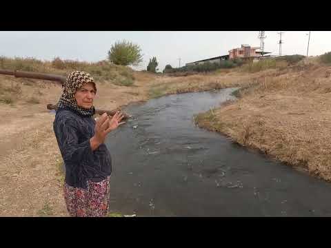 Annem in Köy Evi Odun Ateşinde Gözleme Yapımı Yağmurlu Gün