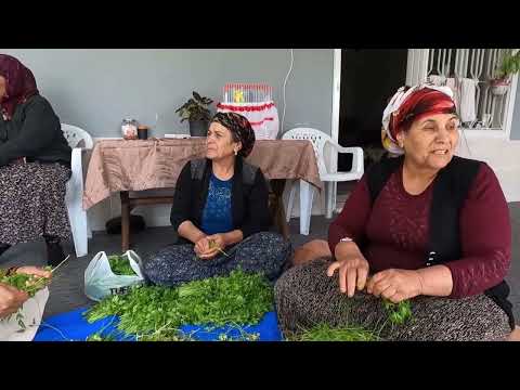 ABLAM İLE HALAM GELDİ BİDON BİDON ÇOK BEĞENİLEN KÖMBE YAPIMI