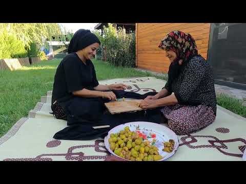 TAZE İNÇİR HASADI İNÇİR PESTİL YAPIMI DAĞDAN TOPLANAN