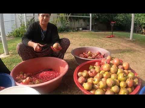 ABLAM GELDİ TAZE NAR HASADI ODUN ATEŞİNDE LEZZET YEMEKLER