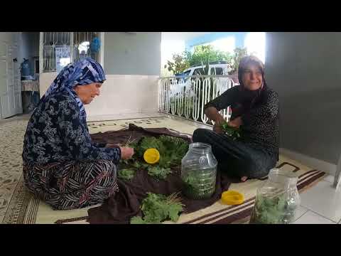 90 YAŞINDA NENEM E PİZZA YEMEĞİNİ SORDUK KÖY HAYATI TAZE