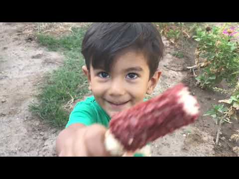 ARANAN LEZZET BOMBASI OSMANCIK BÖREĞİ Pratik Kolay En Güzel