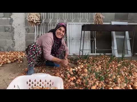 GELİN EVİ SOBAMIZI KURDUK YENİ HALIMIZI SERDİK Şiddetli