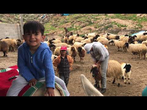 ANNEMİN Köyüne Geldik Çoban Hayatı Yaşadık Teyzem den Köy