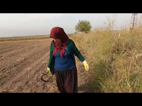 HALAM IN KÖY EVİ ÇEŞİT ÇEŞİT SÜPÜRGE YAPIMI YENİ KÖY EVİ
